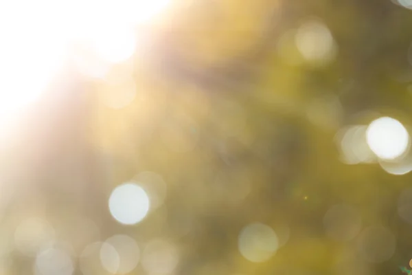 Luz del sol con bokeh en la mañana — Foto de Stock