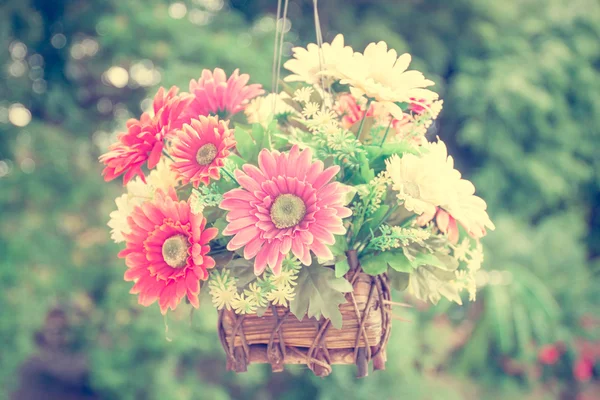Bouquet in  hanging pot — Stock Photo, Image