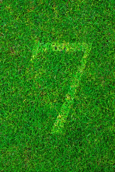 White line number on green grass (1 2 3 4 5 6 7 8 9 0) — Stock Photo, Image