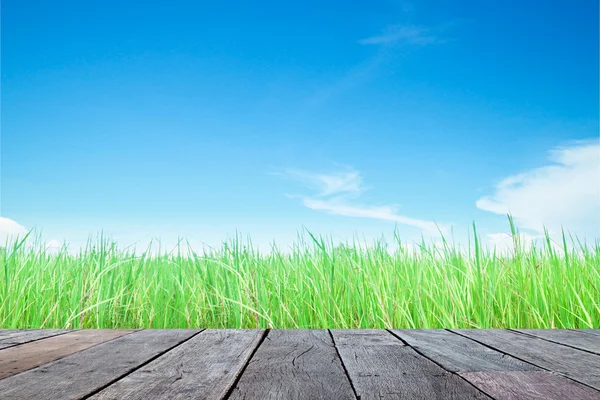 Tábua de madeira com campo de grama verde e fundo céu — Fotografia de Stock