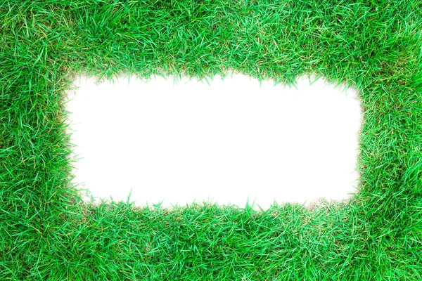 Frame of lawn grass background — Stock Photo, Image