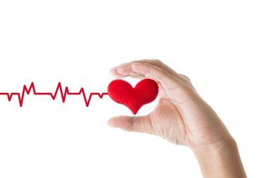 Beyaz arka plan üzerinde kalp EKG çizgili kırmızı kalp tutan eller