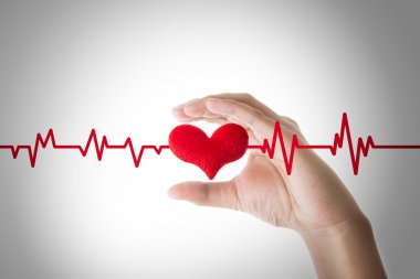 Beyaz arka plan üzerinde kalp EKG çizgili kırmızı kalp tutan eller