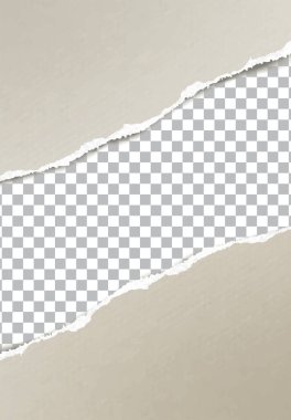 Gerçekçi yırtık kağıt kenar vektör şablonu