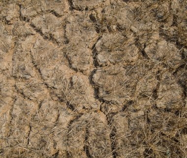 Kuru arazi kırsal kesimde 