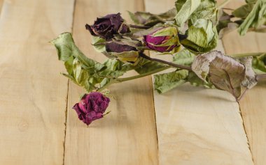 tablo üzerinde kurutulmuş gül