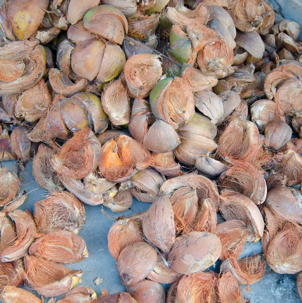 Espata de coco fondo — Foto de Stock