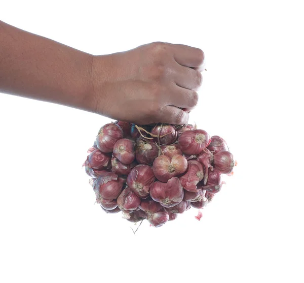 Hand holding red onions — Stock Photo, Image