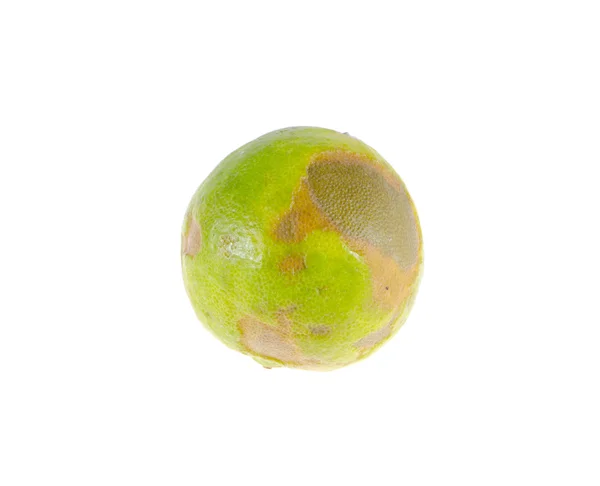 Limón podrido aislado — Foto de Stock