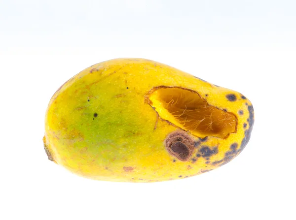 Zgniłe mango — Zdjęcie stockowe
