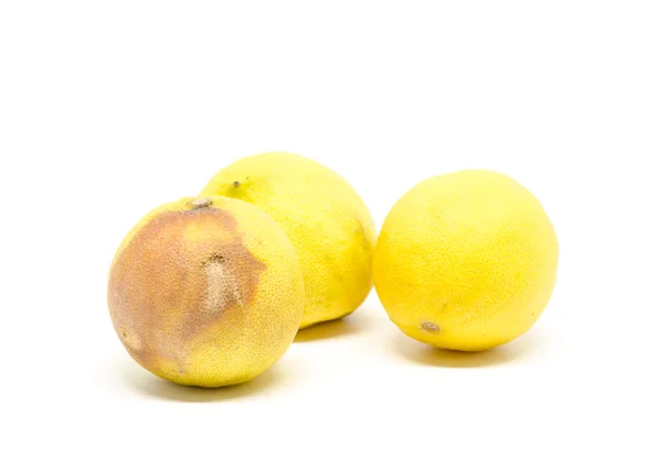 腐烂的柠檬 — 图库照片