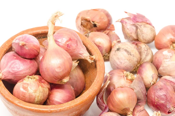 Onions — Stock Photo, Image