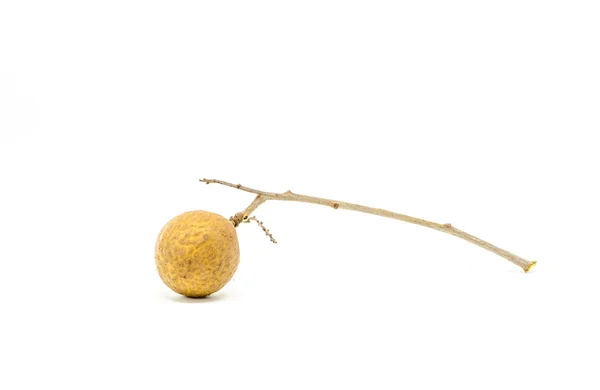 Longan. — Fotografia de Stock