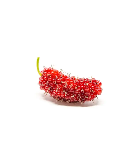 Fresh mulberry — Stock Photo, Image