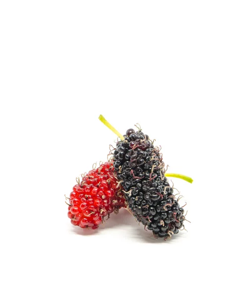 Fresh mulberry — Stock Photo, Image