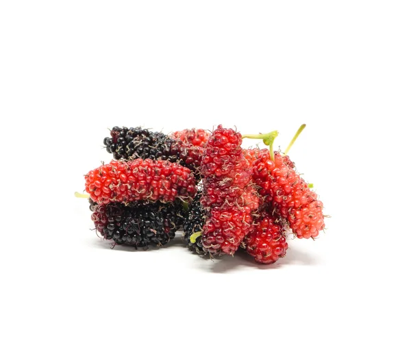 Färska mulberry — Stockfoto