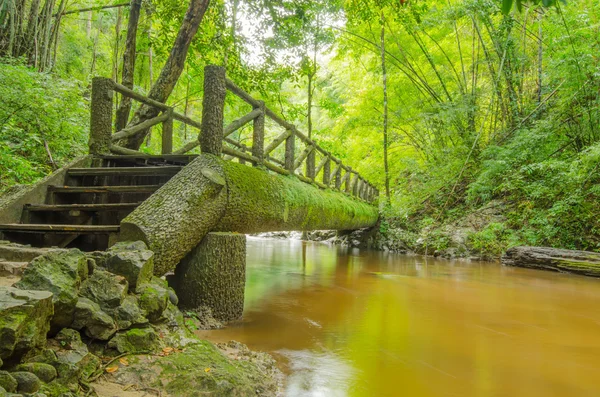 Tropischer Gebirgsstrom, Thailand — Stockfoto