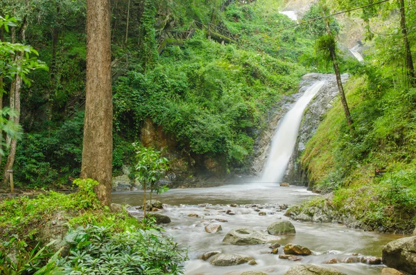 Vattenfall i djupa skogen — Stockfoto