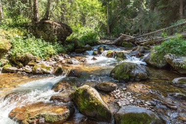 tien shan dağ Almatı takma Yaylası