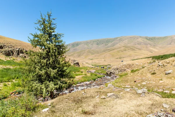 Assy plateau in Tien-Shan mountain  in Almaty — Stock Photo, Image