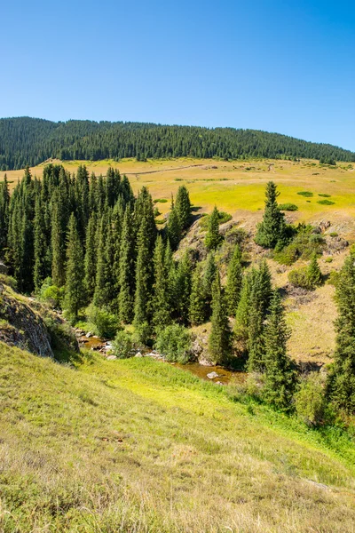 Plateau Assy dans la montagne Tien-Shan — Photo