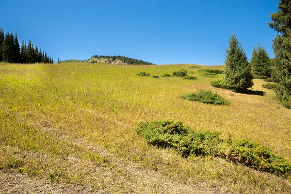 Altopiano di Assy in montagna di Tien-Shan — Foto Stock