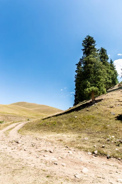 Assy plateau in Tien-Shan mountain — Stock Photo, Image