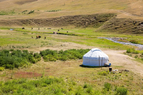 Kazakiska yurt i assy platå — Stockfoto