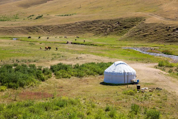 Yourte kazakhe sur le plateau d'Assy dans la montagne Tien-Shan — Photo