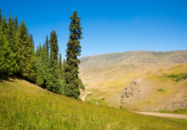 tien shan dağ takma Yaylası