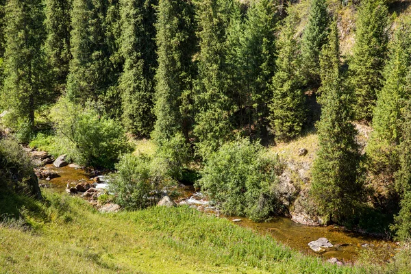 Assy plateau in tien-shan berg — Stockfoto