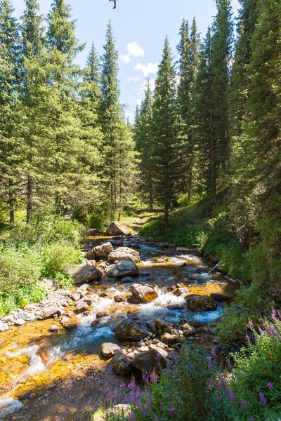 Planalto Assy na montanha Tien-Shan — Fotografia de Stock