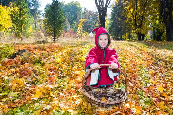 Осенняя девушка — стоковое фото