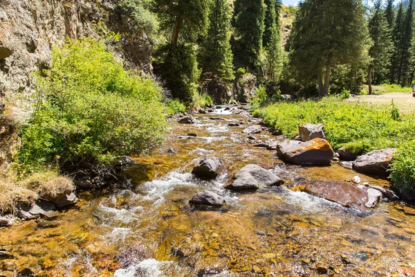 Komplet náhorní plošině v pohoří Ťan-Šan — Stock fotografie