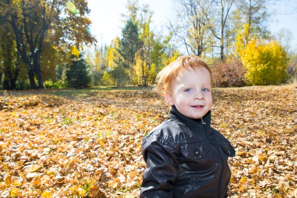 Маленький мальчик осенью — стоковое фото