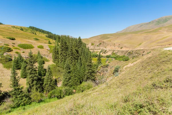 Plateau Assy dans les montagnes de Tien-Shan — Photo