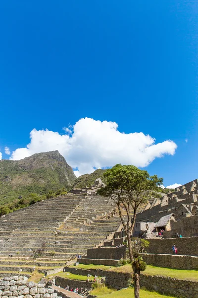 ตั้งอยู่ในเมือง Machu Picchu — ภาพถ่ายสต็อก