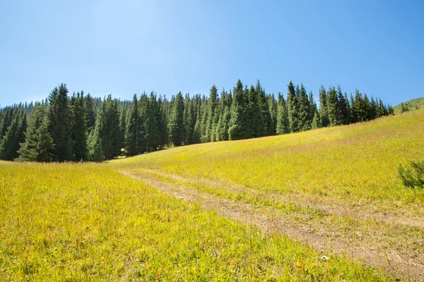 Assy plateau in Tien-Shan mountains — Stock Photo, Image