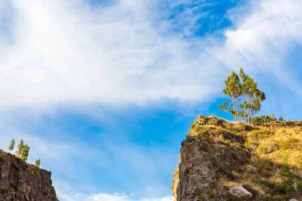 Colca-schlucht, peru — Stockfoto