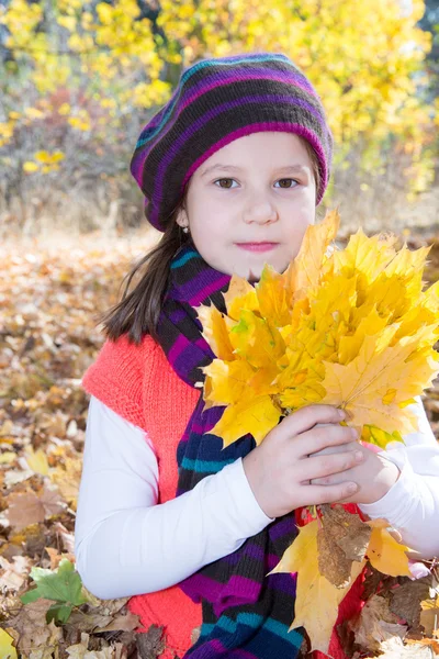 Autumn little girl — Stock Photo, Image