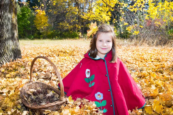Chica de otoño —  Fotos de Stock