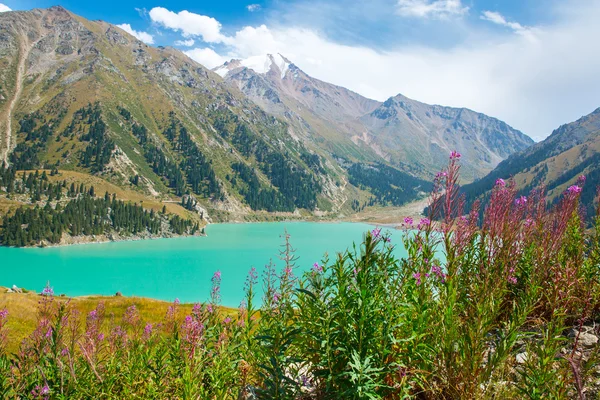 Gran lago Almaty — Foto de Stock