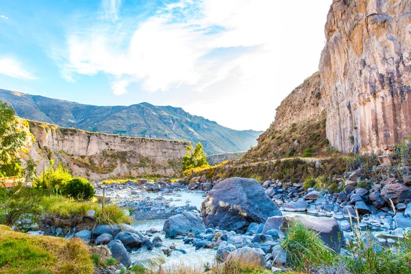 Colca Canyon, Peru — Stok Foto