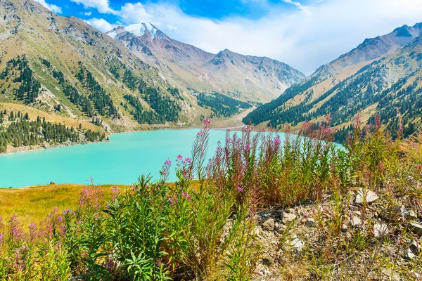 Grande lago di Almaty — Foto Stock