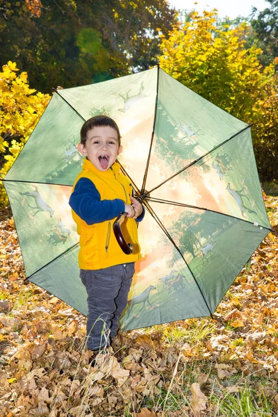 Boy  with umbrella in autumn — Stock Photo, Image