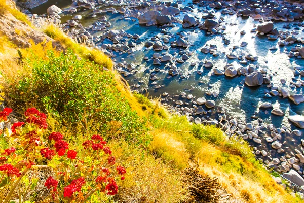 Colca Kanyonu, peru — Stok fotoğraf