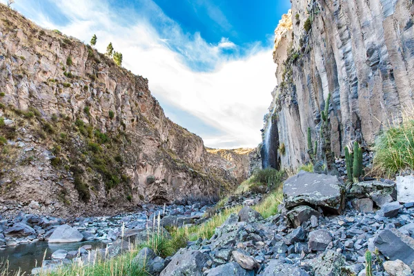 Canyon del Colca, Perù — Foto Stock