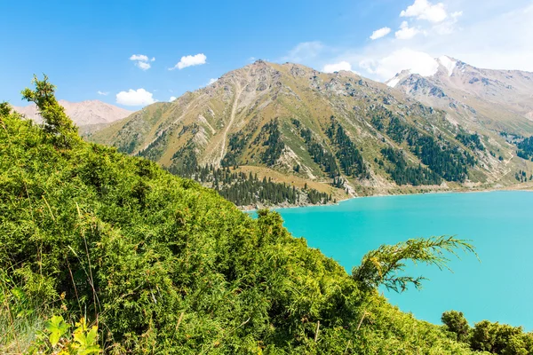 Big Almaty Lake Stock Image