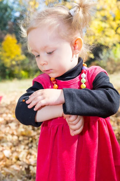 Schattig kind meisje spelen met gevallen laat in de herfst park — Stockfoto