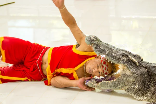 Show of crocodiles, Thailand — Stock Photo, Image
